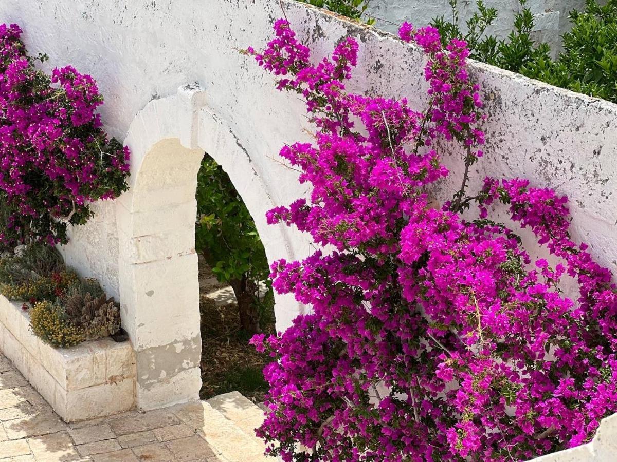 Masseria Piccole Taverne 罗萨玛里纳 外观 照片