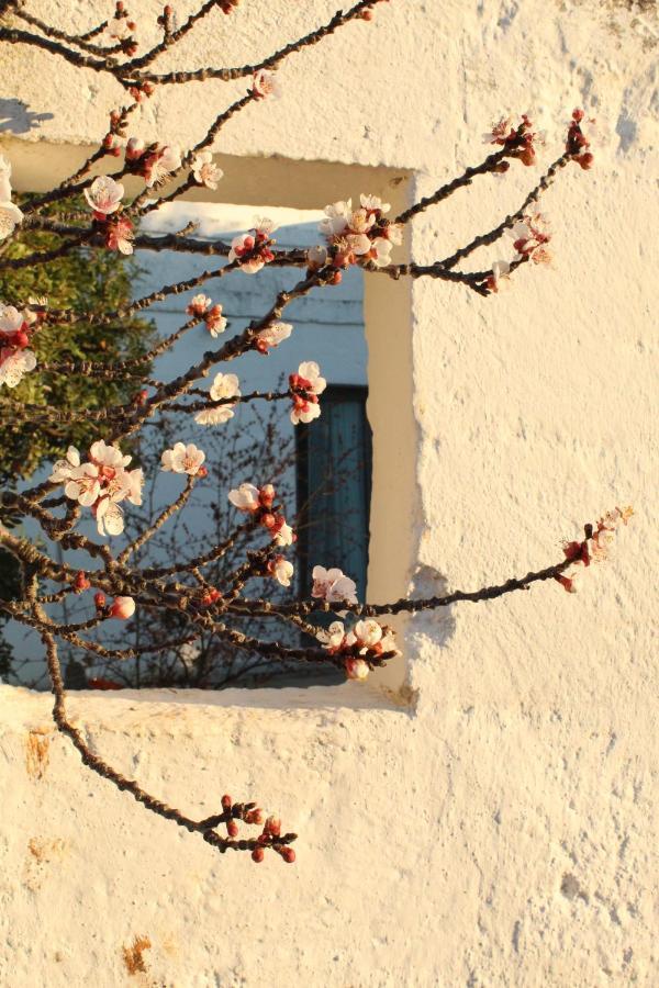 Masseria Piccole Taverne 罗萨玛里纳 外观 照片
