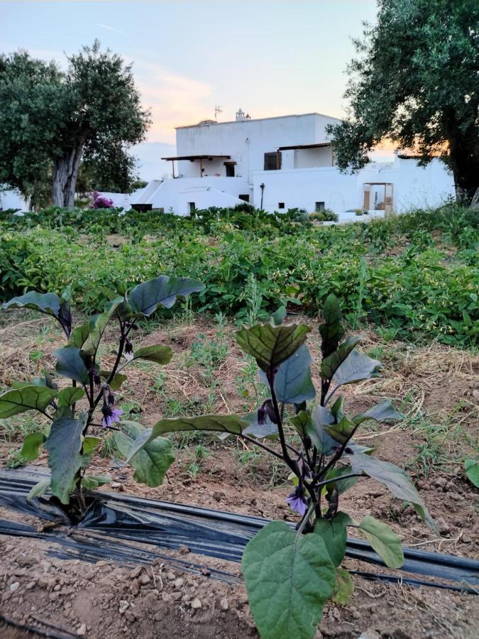 Masseria Piccole Taverne 罗萨玛里纳 外观 照片