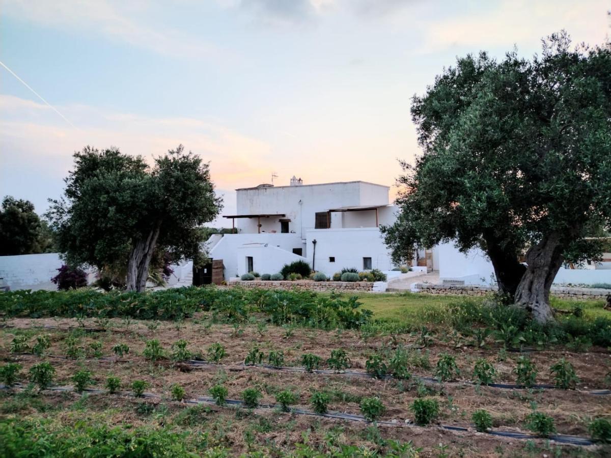 Masseria Piccole Taverne 罗萨玛里纳 外观 照片