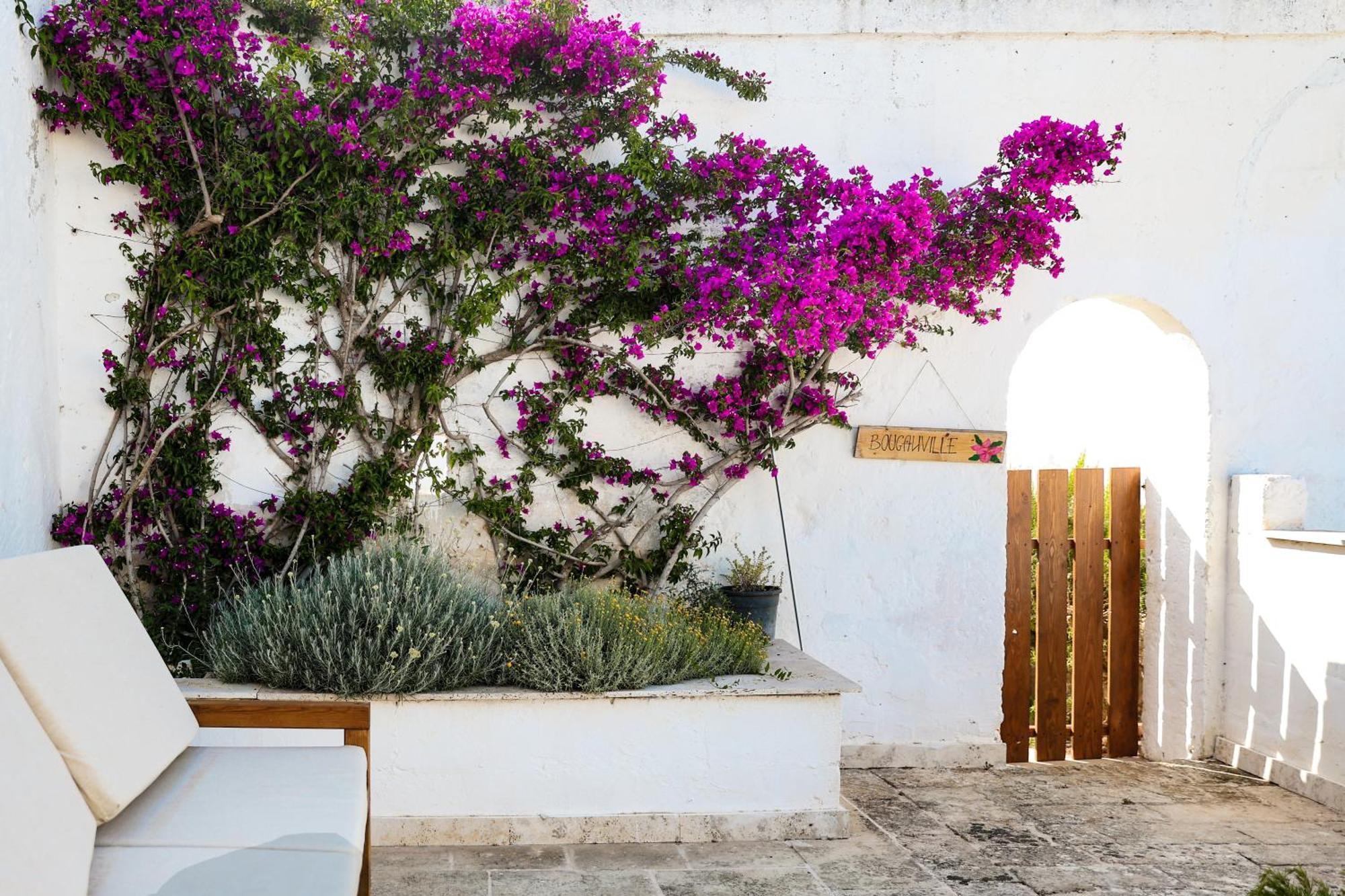 Masseria Piccole Taverne 罗萨玛里纳 外观 照片