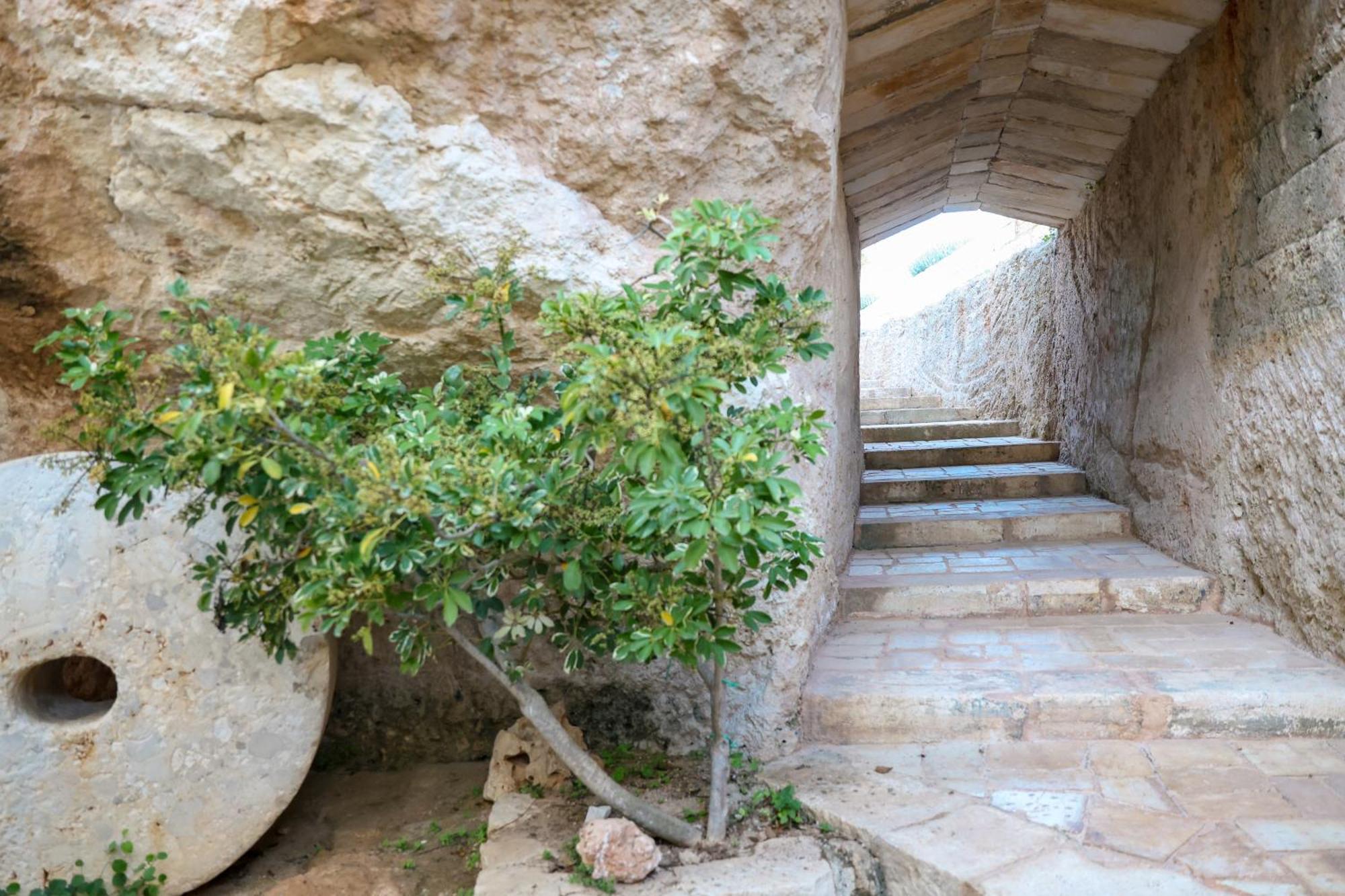 Masseria Piccole Taverne 罗萨玛里纳 外观 照片