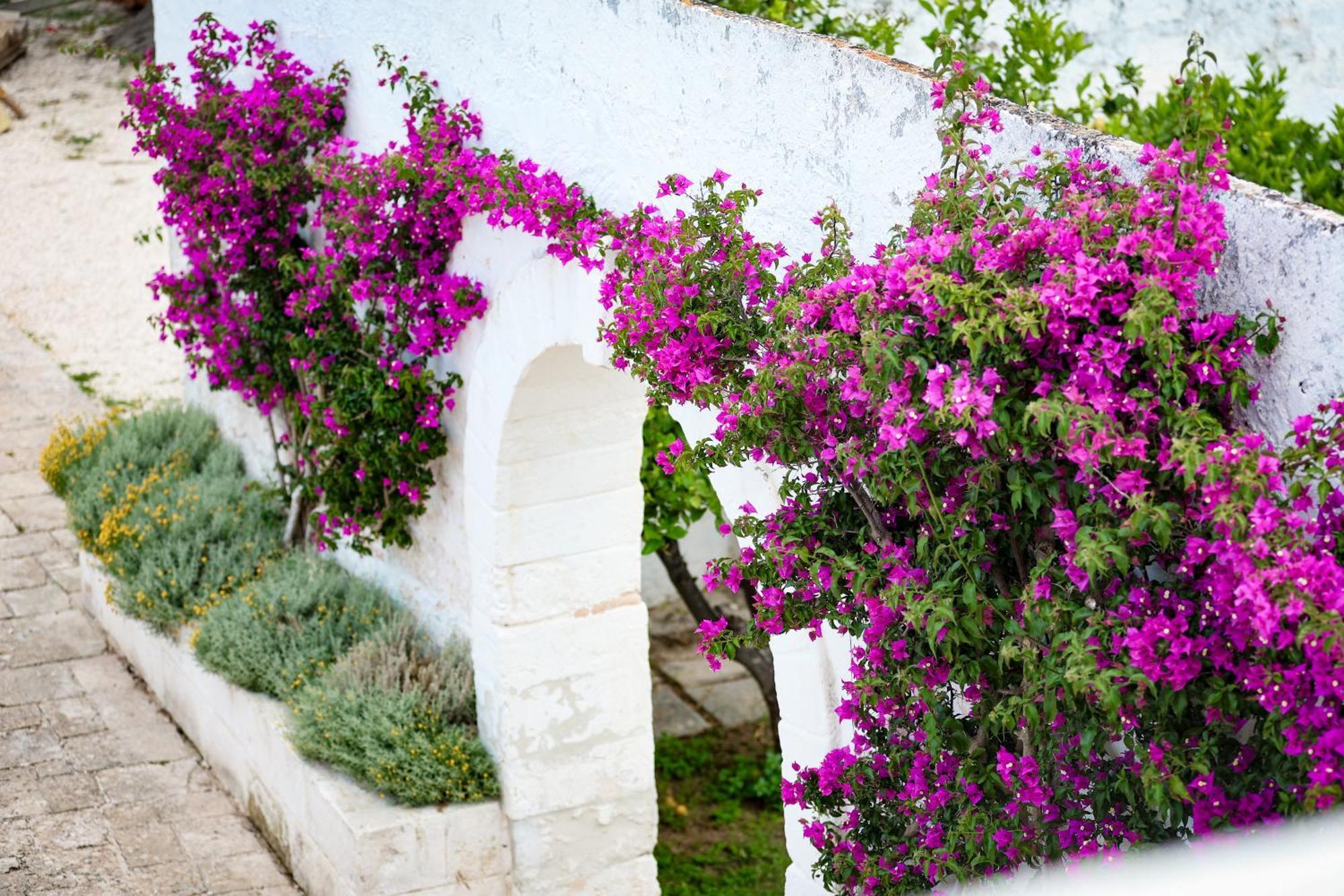 Masseria Piccole Taverne 罗萨玛里纳 外观 照片