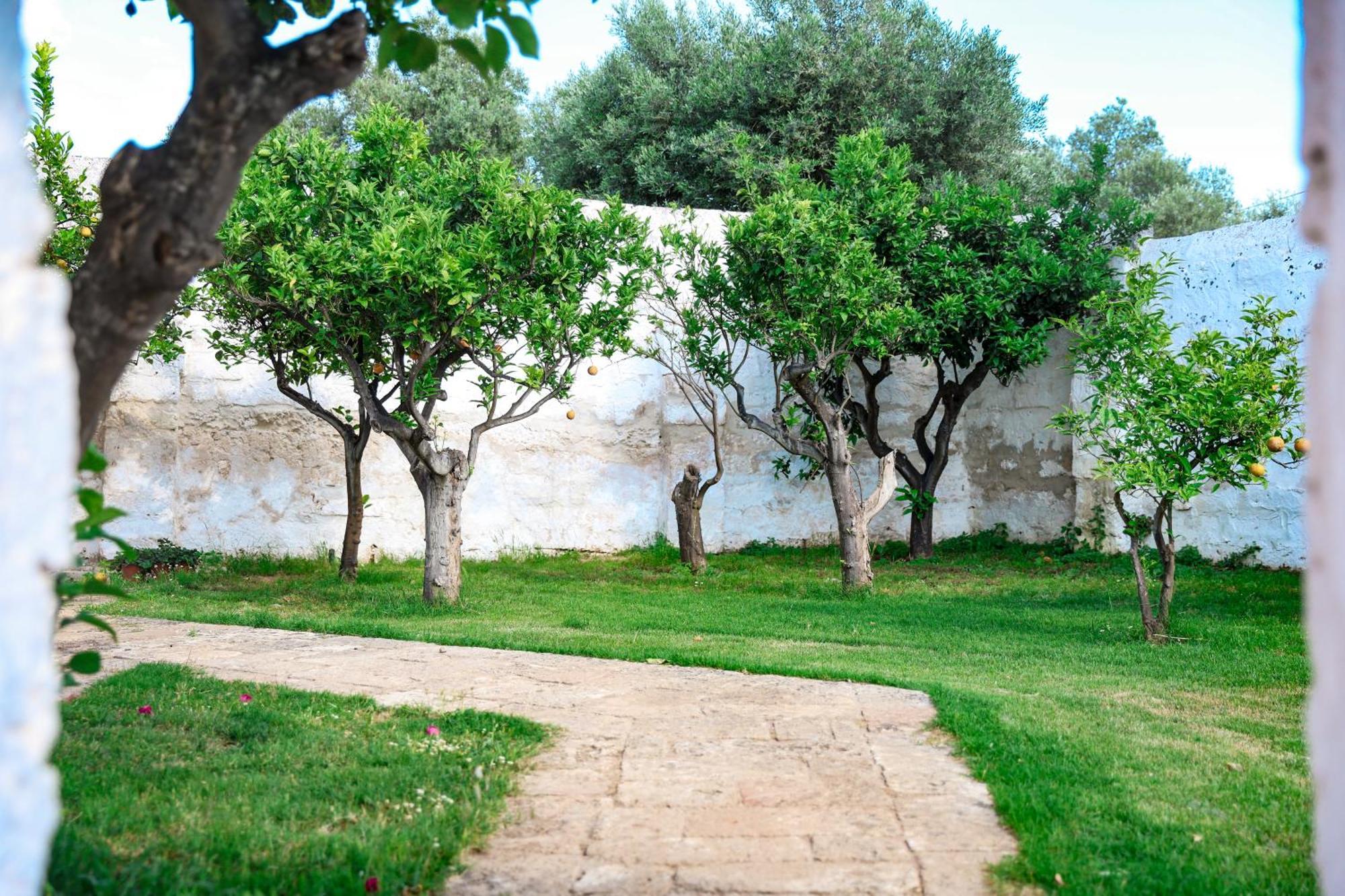 Masseria Piccole Taverne 罗萨玛里纳 外观 照片